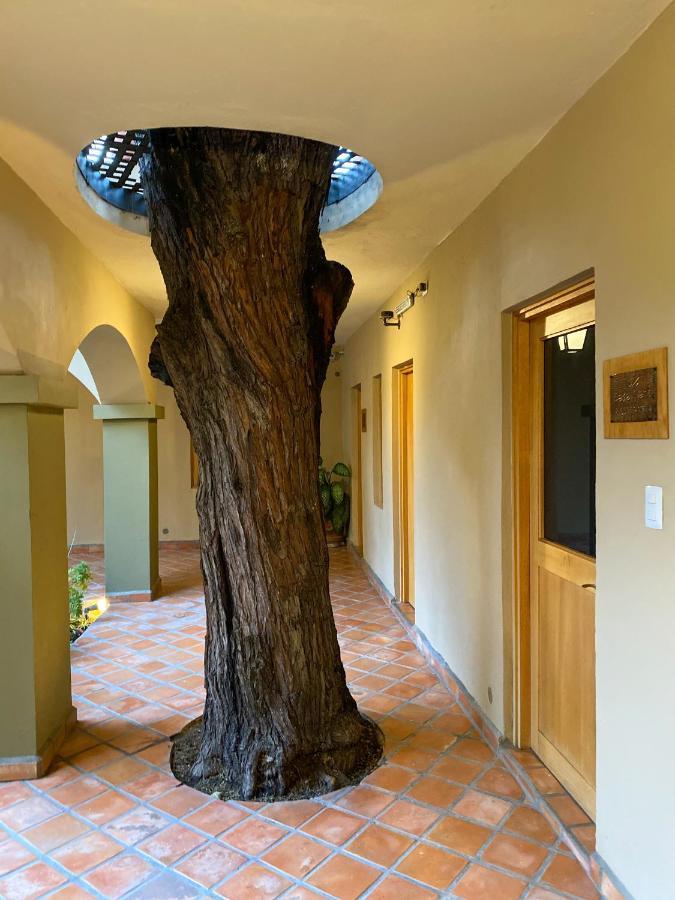 Casa Nare Adults Only Hotel San Miguel de Allende Exterior photo