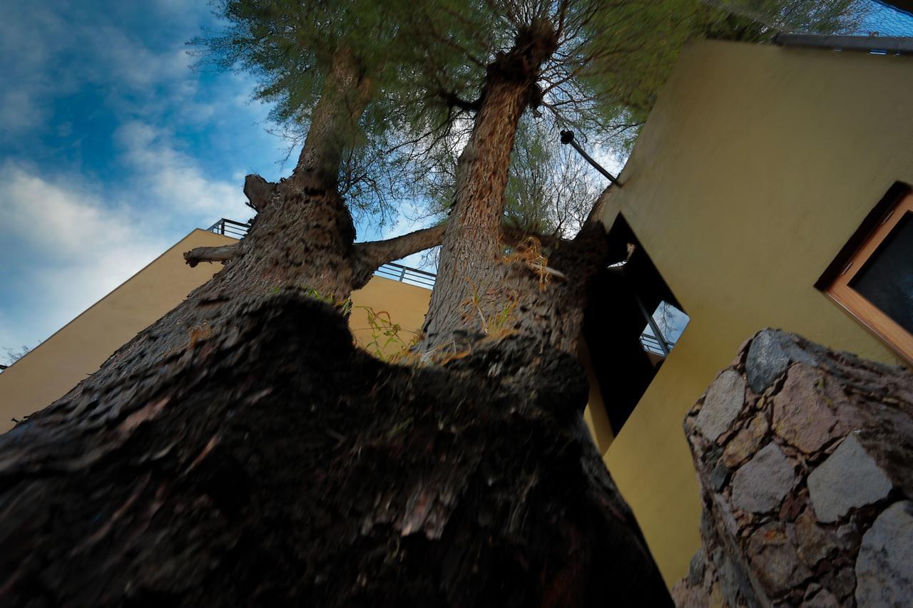 Casa Nare Adults Only Hotel San Miguel de Allende Exterior photo