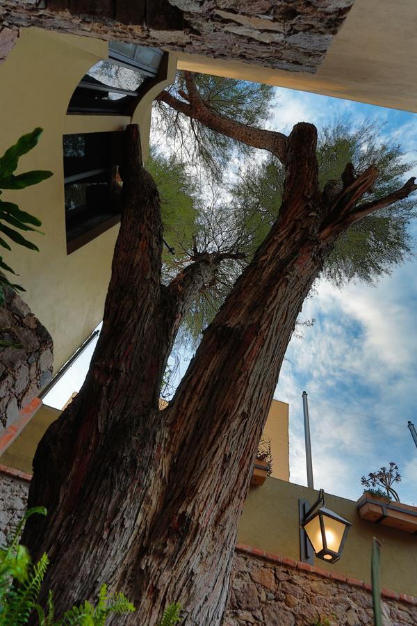 Casa Nare Adults Only Hotel San Miguel de Allende Exterior photo